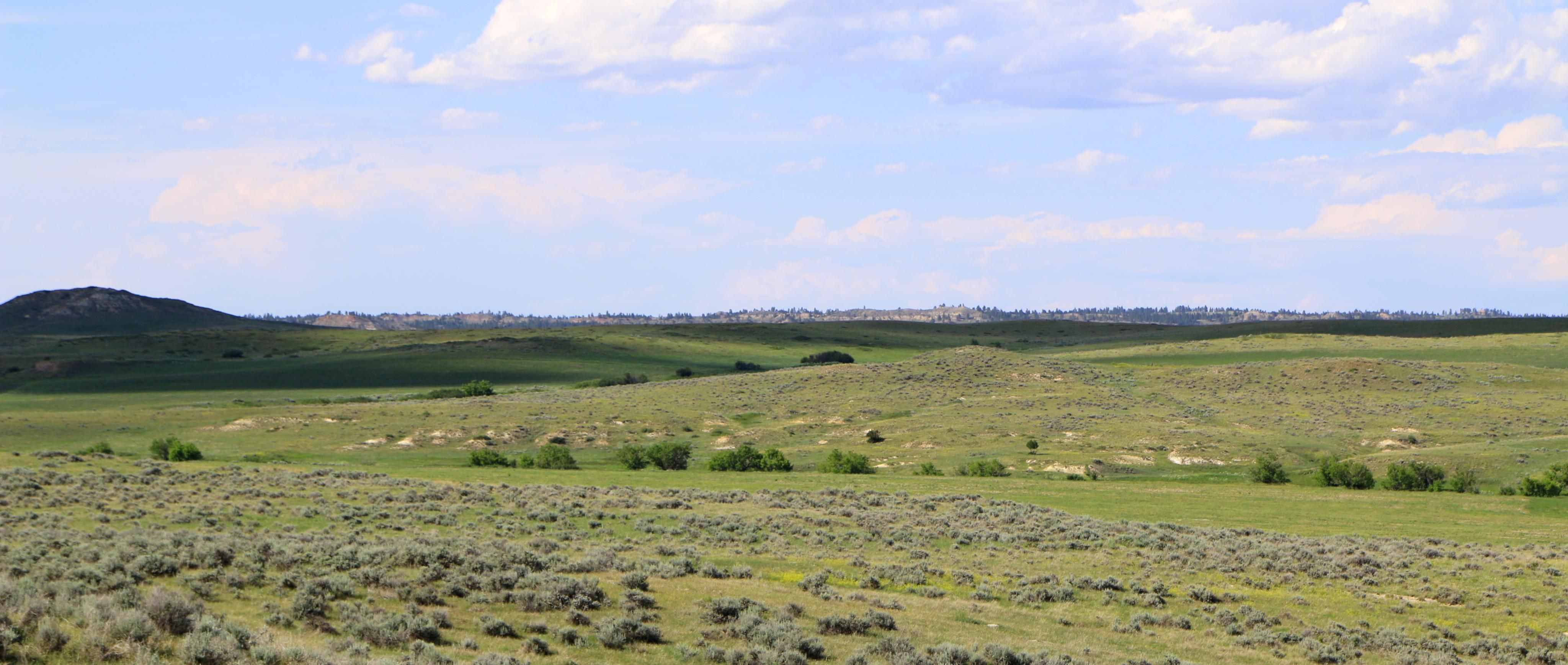 319 Acres, Basin Creek Rd, MT 59351 Land and Farm