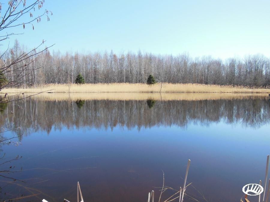 Johnson Road, Shiocton, WI 54170 Land and Farm