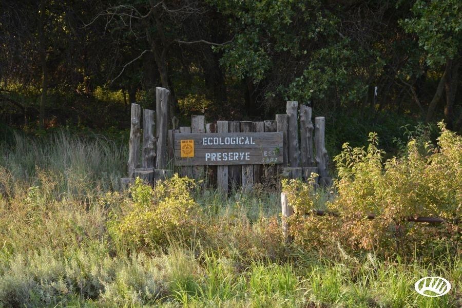 58 Acres, 42843 CR 265, Ringwood, OK 73768 Land and Farm