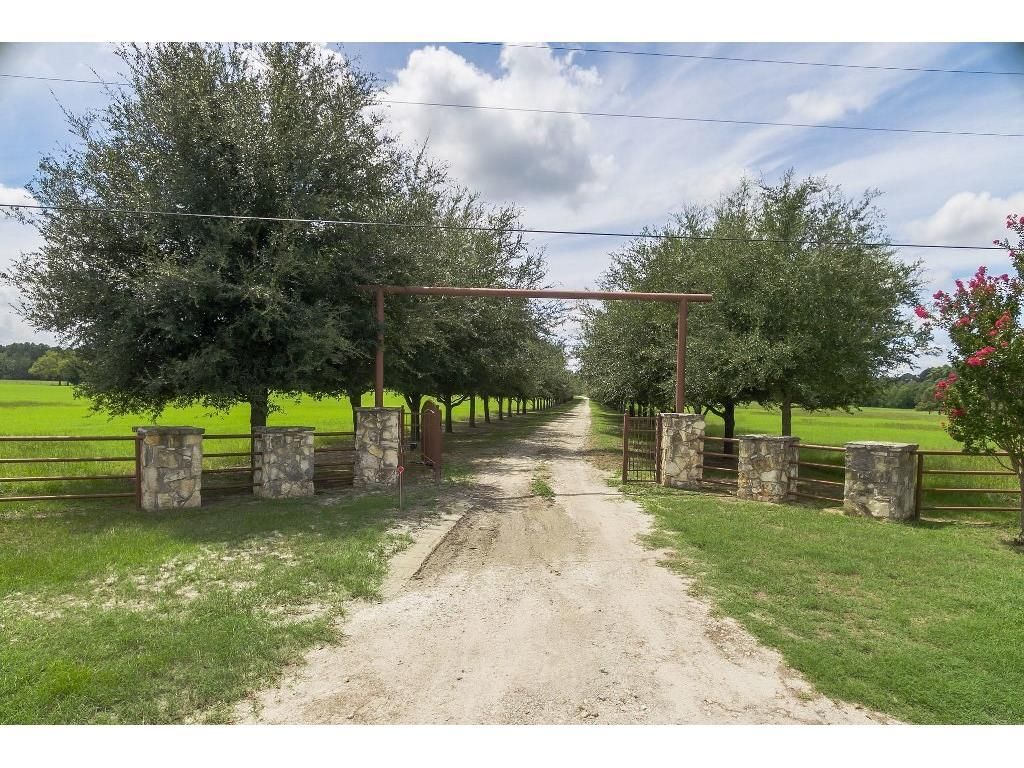 48 Acres, 3007 FM 279 RD, Ben Wheeler, TX 75754 Land and Farm