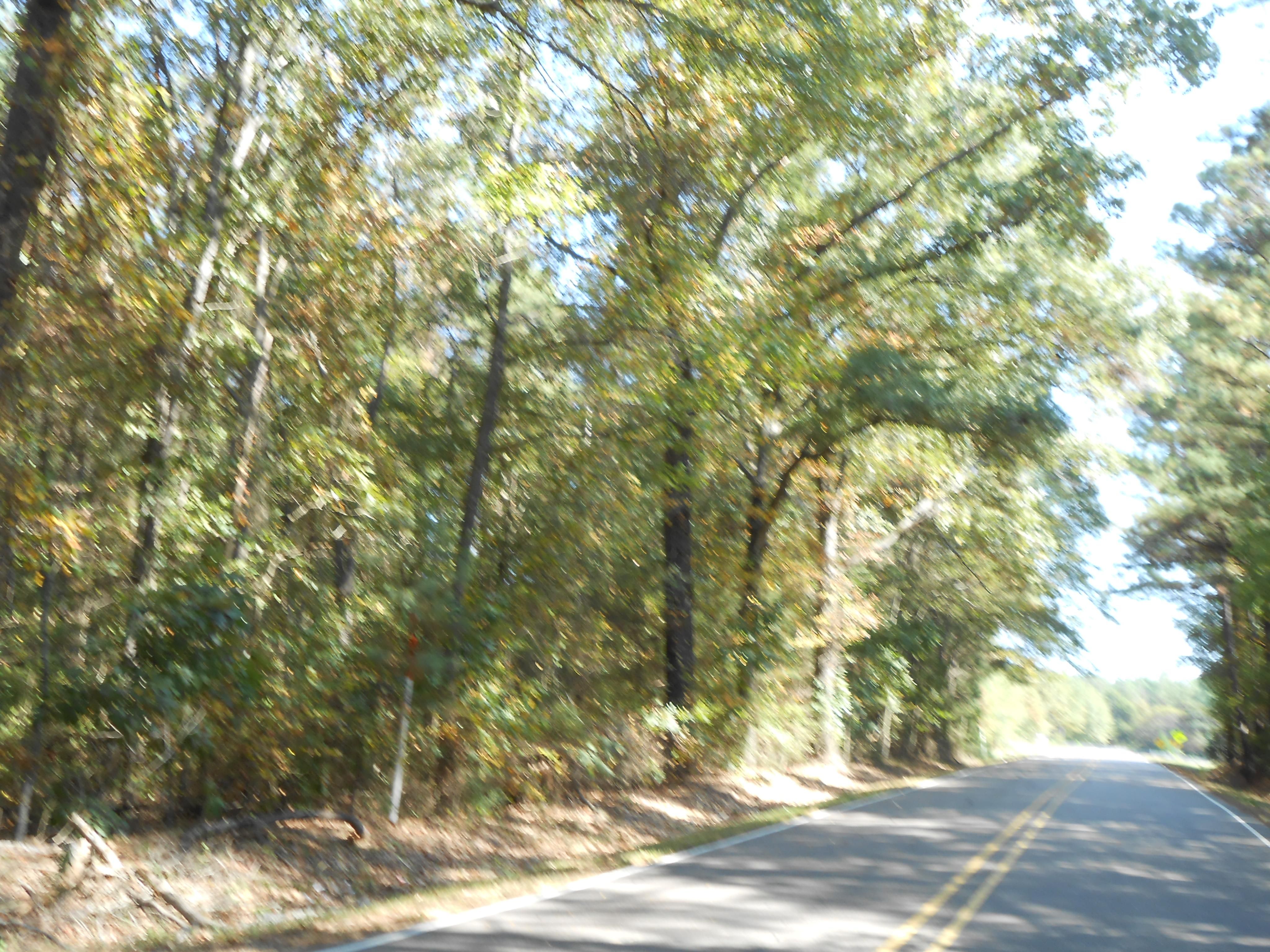 Holly Bush Rd, Pelahatchie, MS 39145 Land and Farm