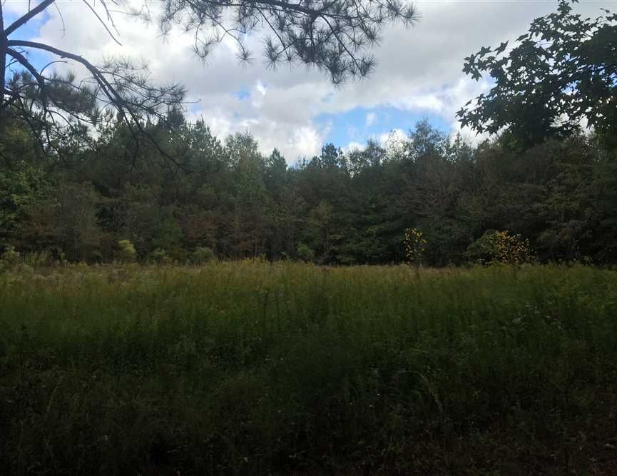 110 Acres, Sawyerville, AL 36776 Land and Farm