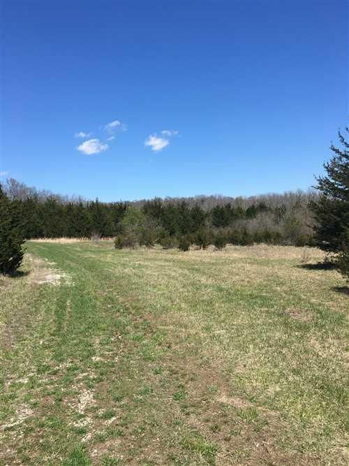 100 Acres, Wheatland, MO 65779 Land and Farm