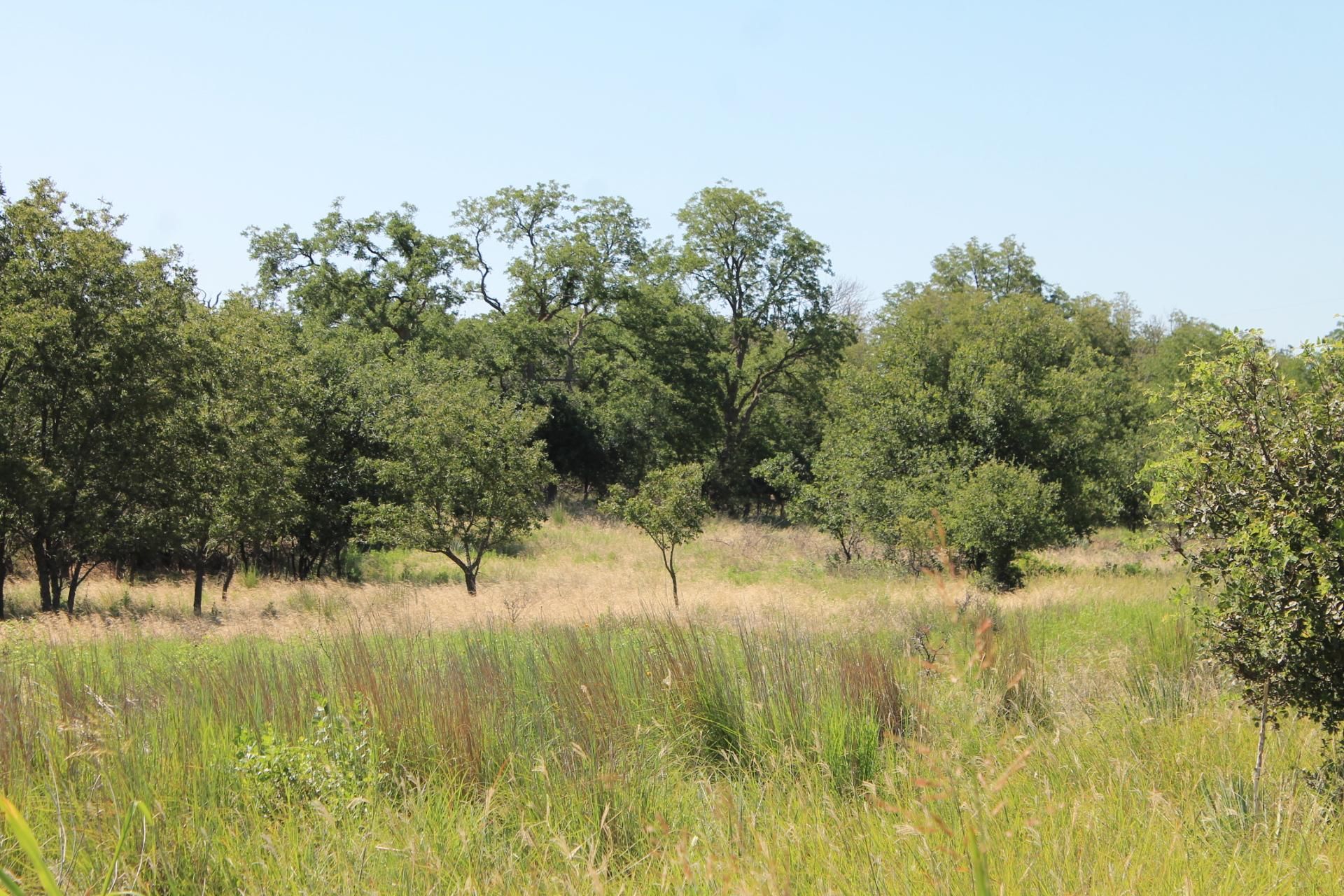 371 Acres, Quanah, TX 79252 Land and Farm