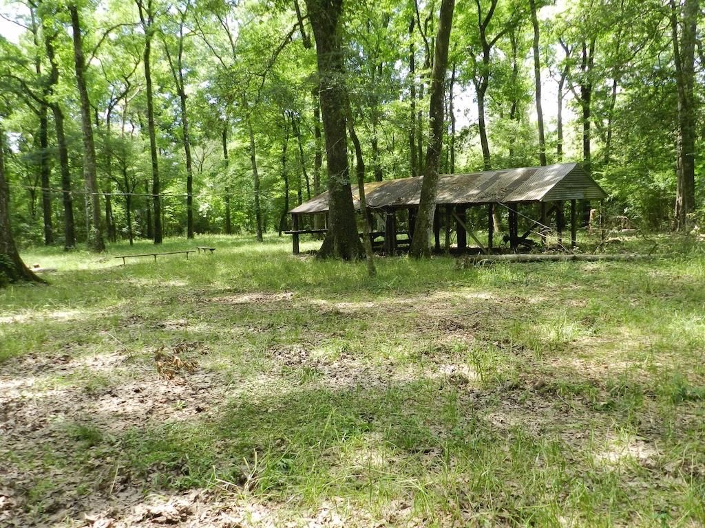 775 acres in Iota, LA, 70543 Land and Farm