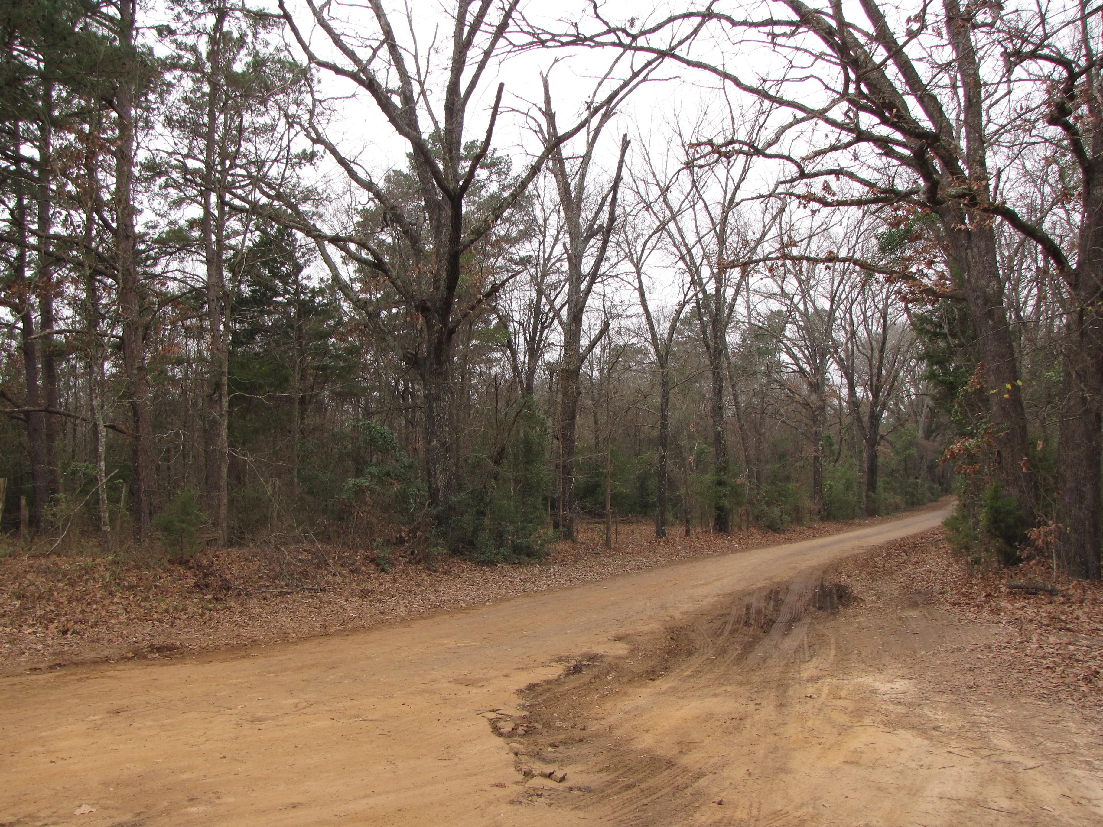 42.78 Acres, CR 3520, Hawkins, TX 75765 Land and Farm