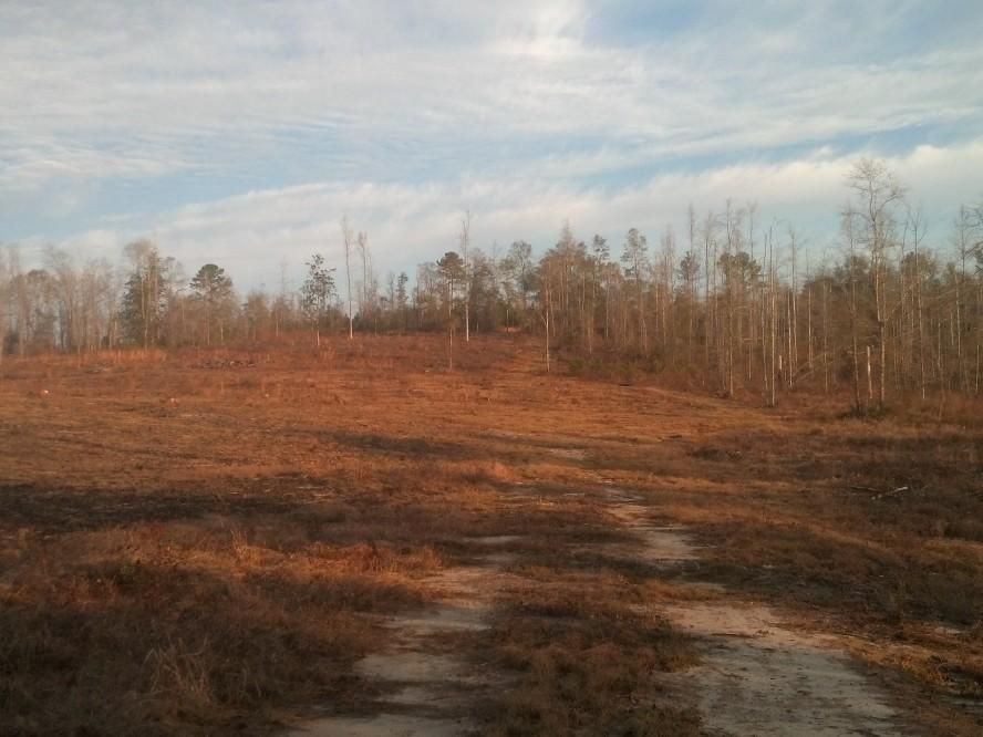 40 Acres, Chipley, FL Land and Farm
