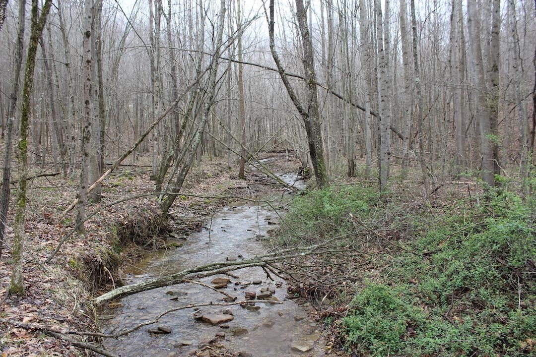 Camp Creek Rd, Piketon, OH 45661 Land and Farm