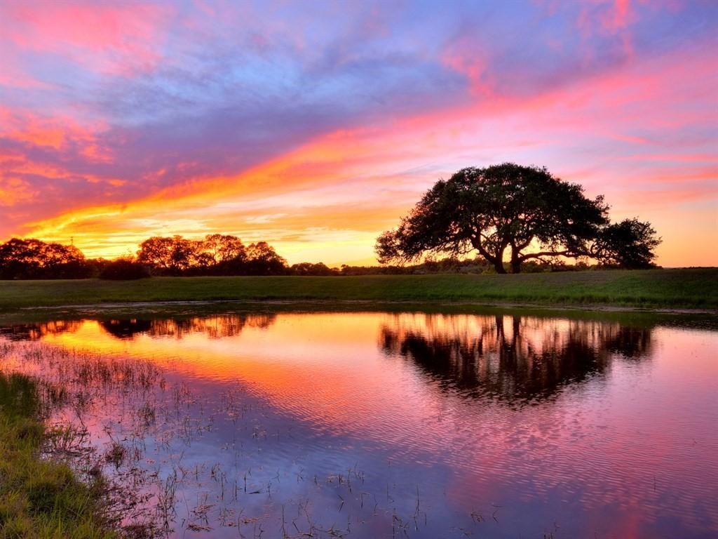 25.73 Acres, 341 N Stallion Estates, Spring Branch, TX 78070 Land and