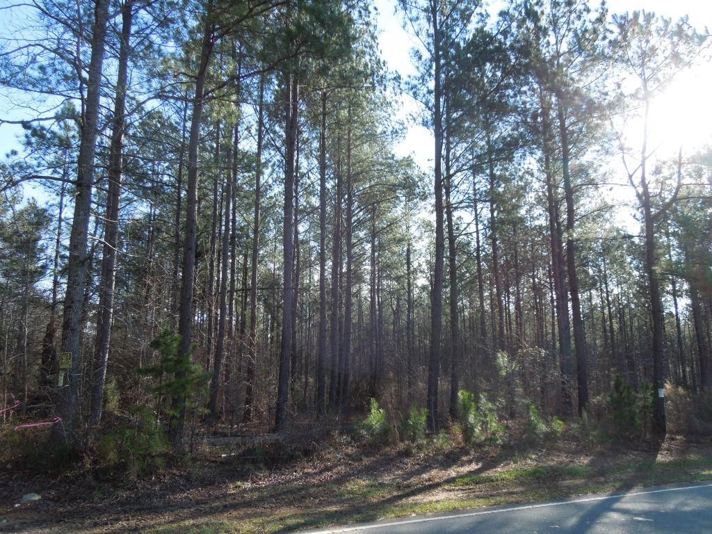 334.65 Acres, Old Graham Road, Pittsboro, NC 27312 Land and Farm