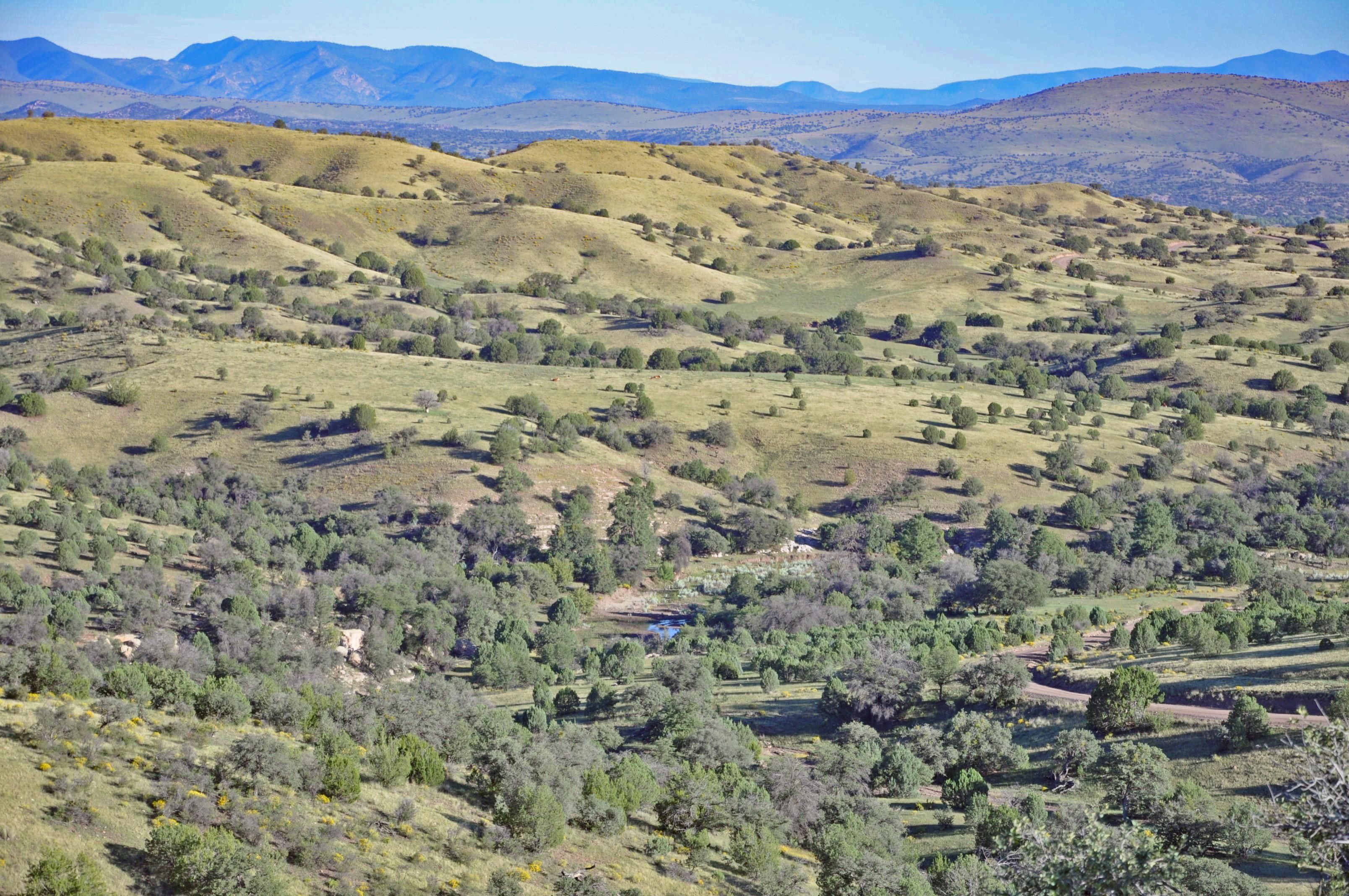 1,514 Acres, Mule Creek, NM 88051 Land and Farm