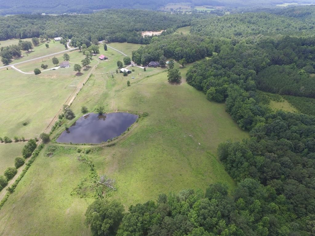 41 Acres, Belvedere Dr, Ashville, AL 35953 Land and Farm