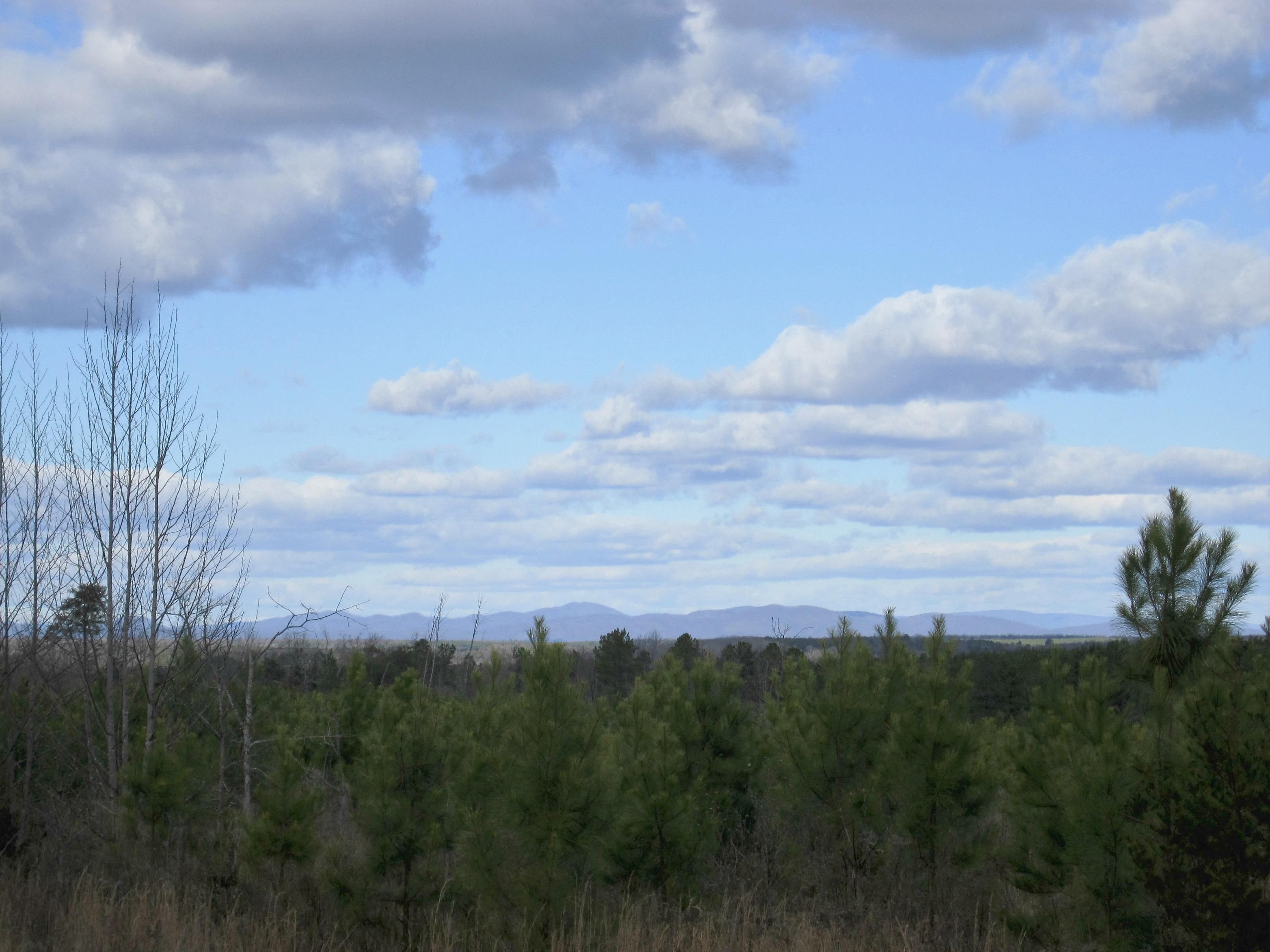 4.95 Acres, Slate River Mill Rd, Buckingham, VA 23961 Land and Farm