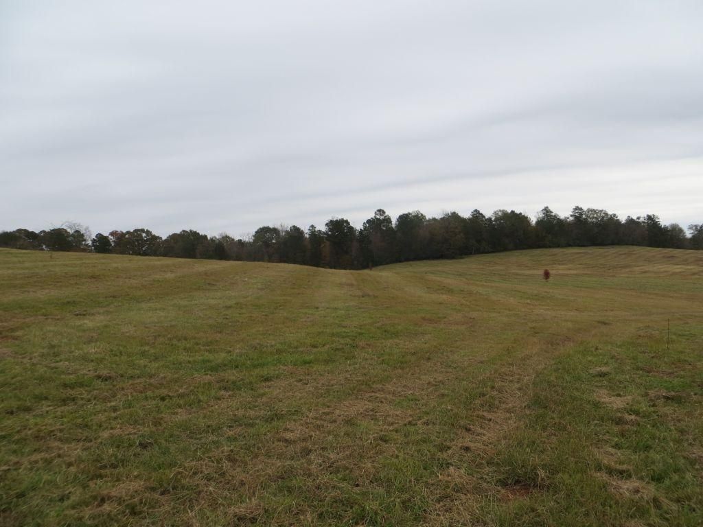 9.11 acres in Auburn, AL, 36830 Land and Farm