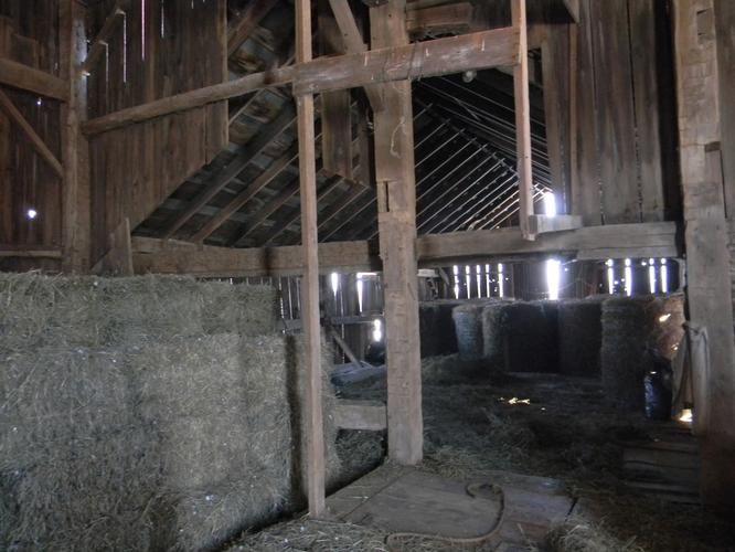 39.4 Acres, 8891 Townsendville Road, Lodi, NY 14847 Land and Farm