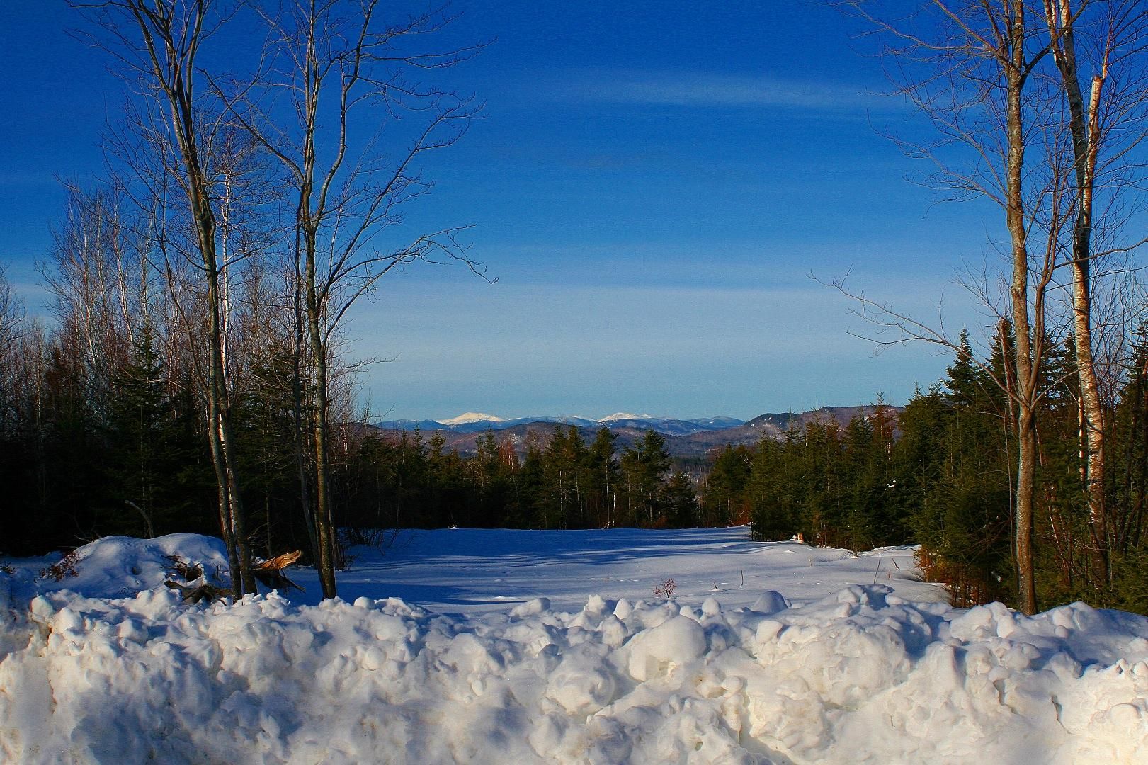4.73 Acres, Outlook Rd., Woodstock, ME 04219 Land and Farm