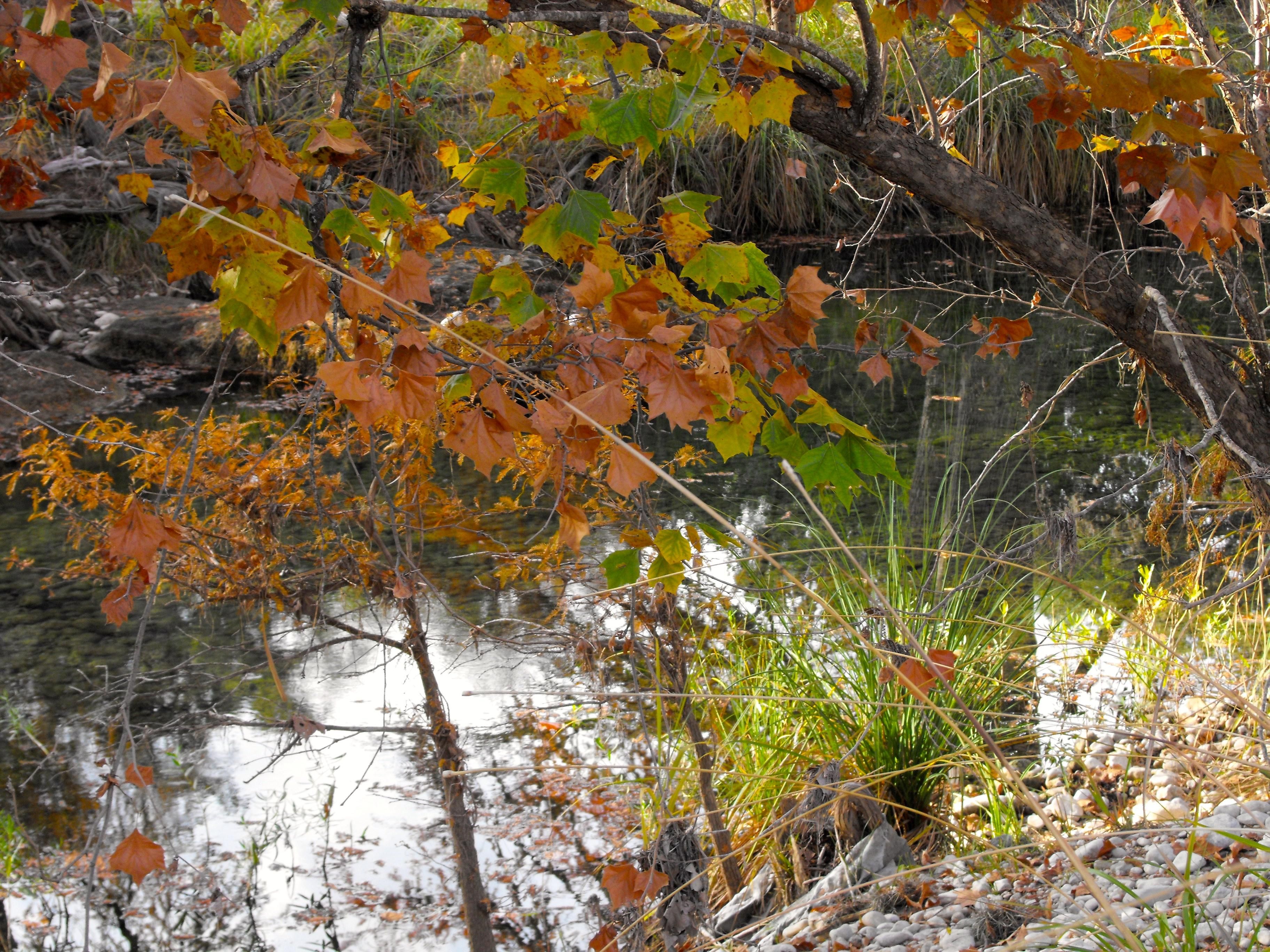 2.2 acres in Utopia, TX, 78884 Land and Farm