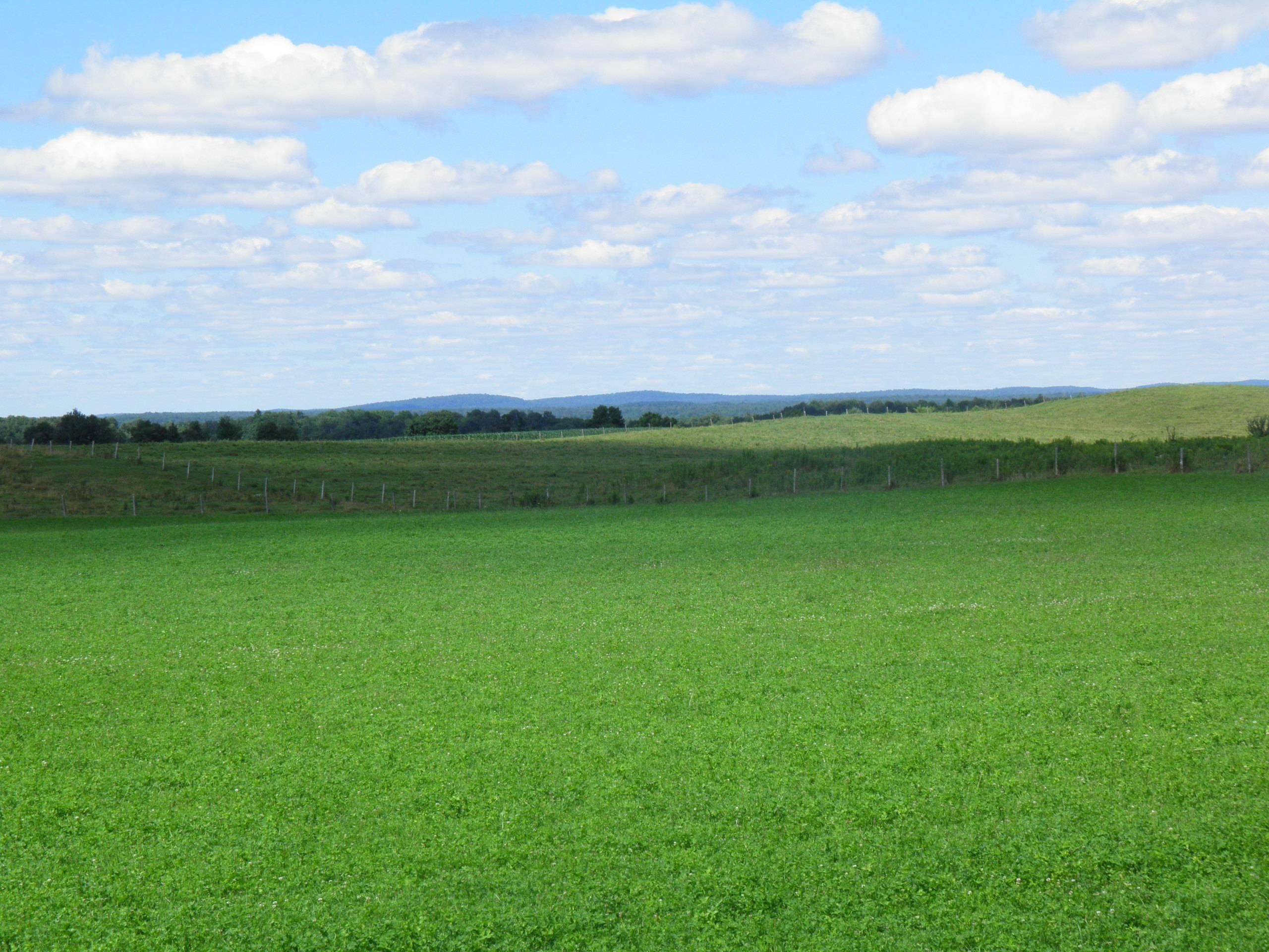 61 Acres, Fairchild Road, Remsen, NY 13438 Land and Farm