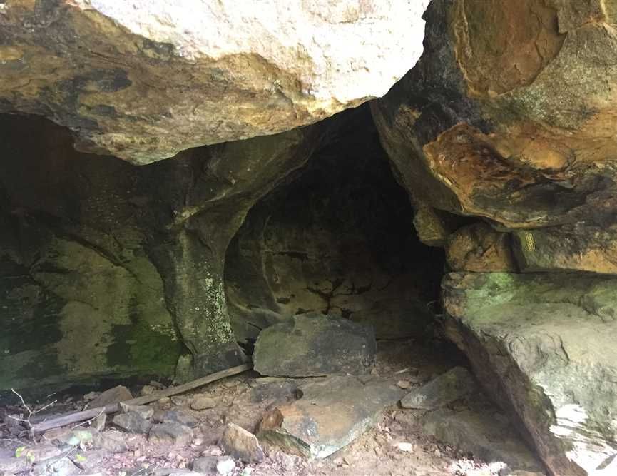 120 Acres, Mountain View, AR 72560 Land and Farm