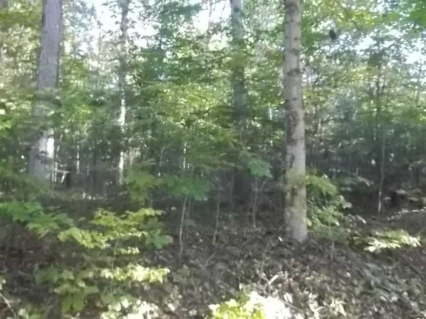 56 Acres, County Road 1050 South, Marengo, IN 47140 Land and Farm