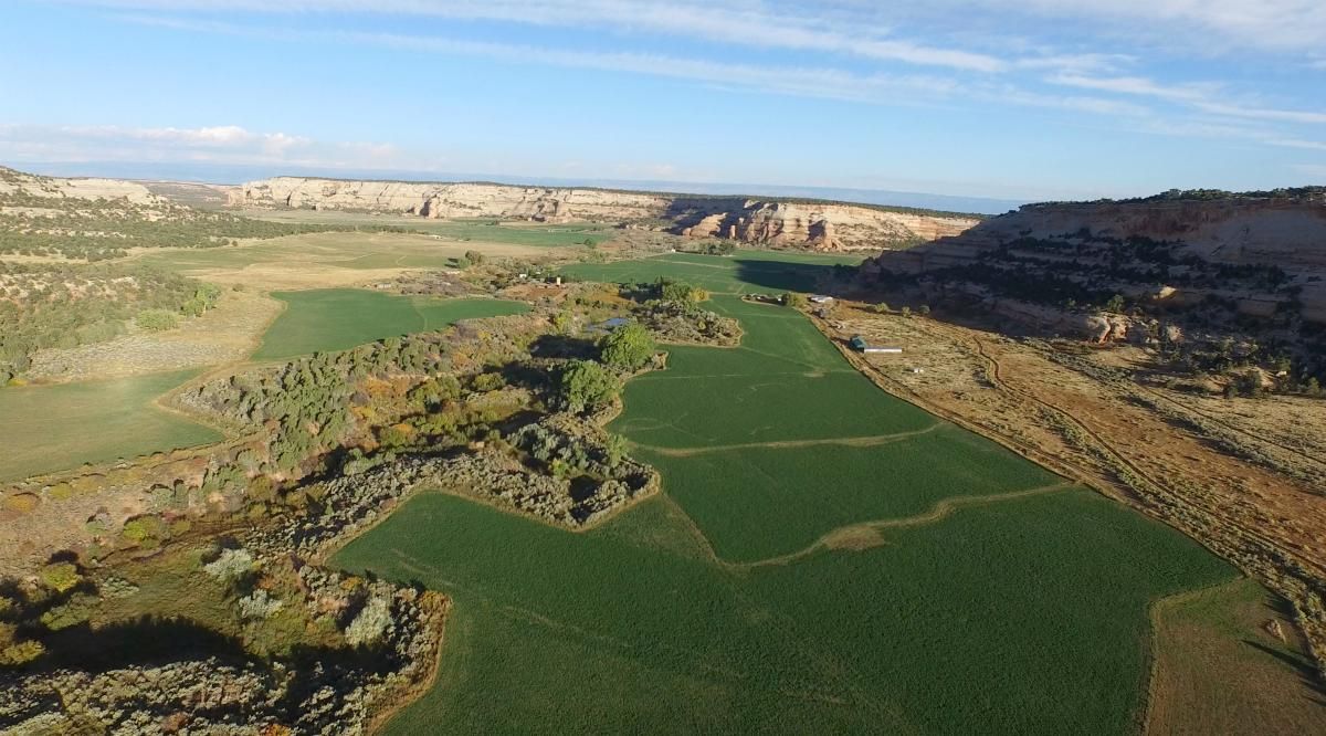 2411 S 9/10 rd, Glade Park, CO 81523 MLS 727051 Land and Farm