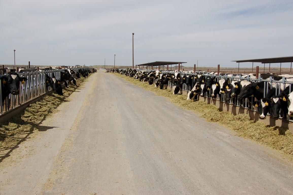 2066 E 400 S, Hazelton, ID 83335 Land and Farm