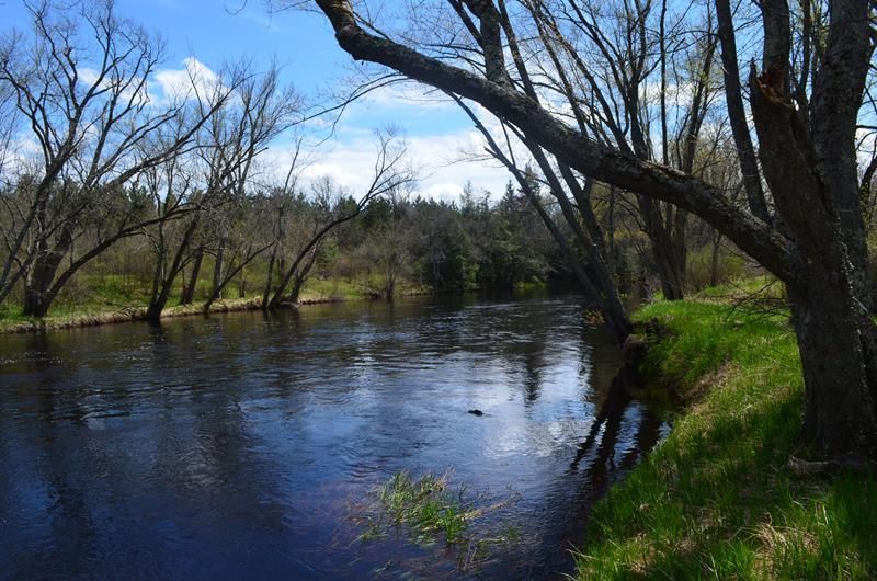 68.24 Acres, 0 Eau Claire River Rd, Aniwa, WI 54408 Land and Farm