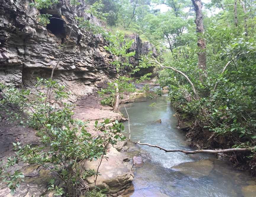 734 Peyton Mtn. Rd, Dennard, AR 72629 Land and Farm