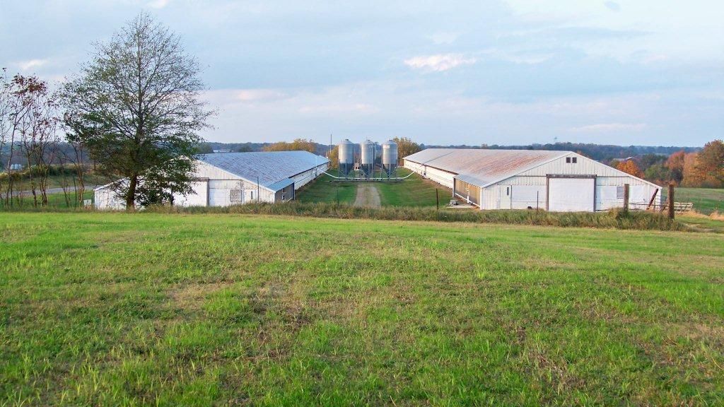 18 Acres, 285 Elrod Rd, Boaz, AL 35957 Land and Farm