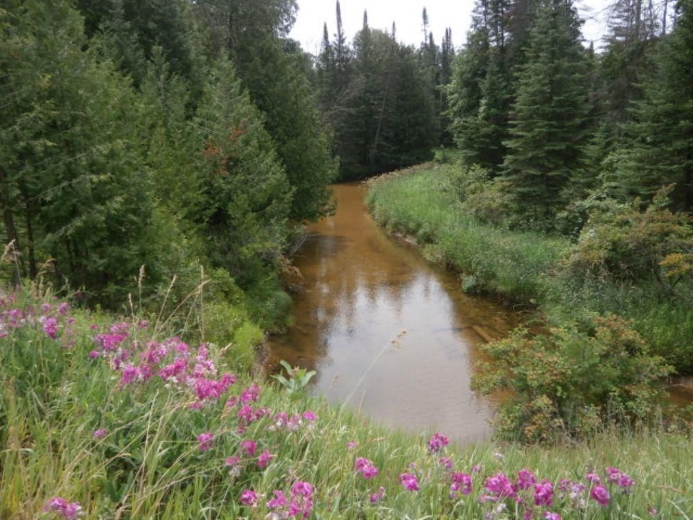 354 Acres, Millersburg, MI Land and Farm