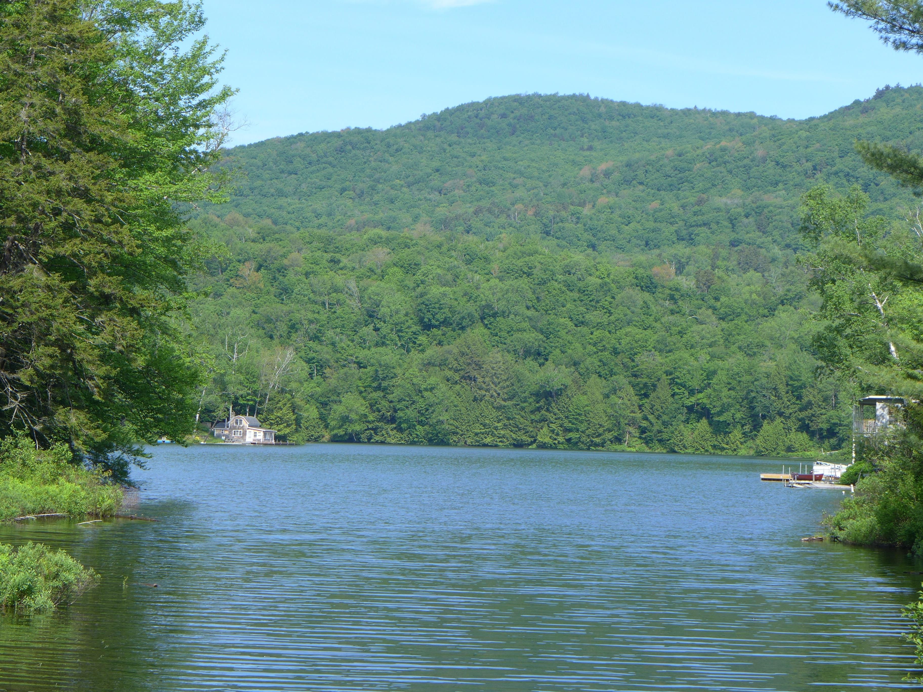 8 Acres, 232 Bailey Bridge Road, Woodbury, VT 05681 Land and Farm