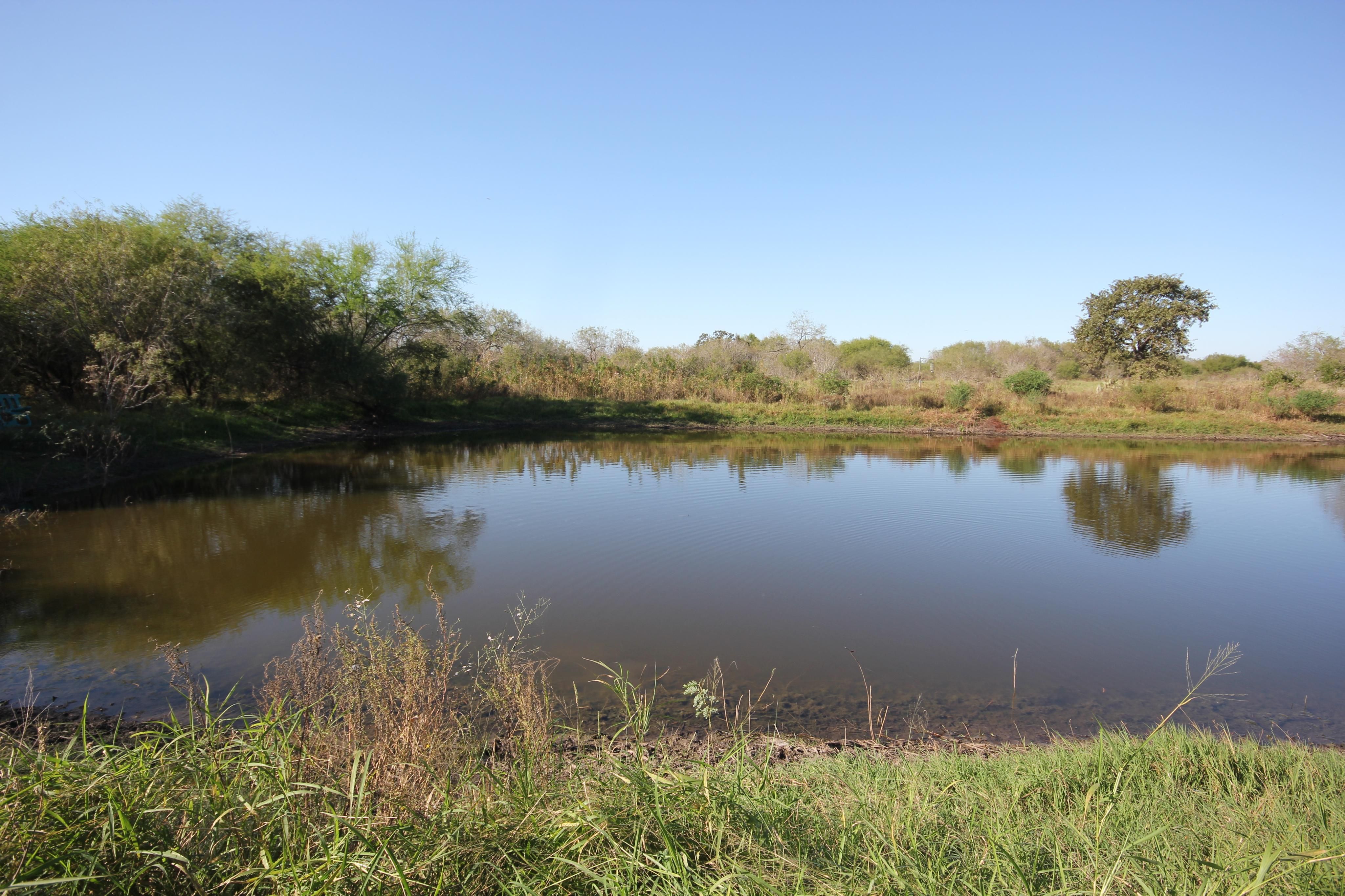 650 Cr 243, Poth, TX 78147 Land and Farm