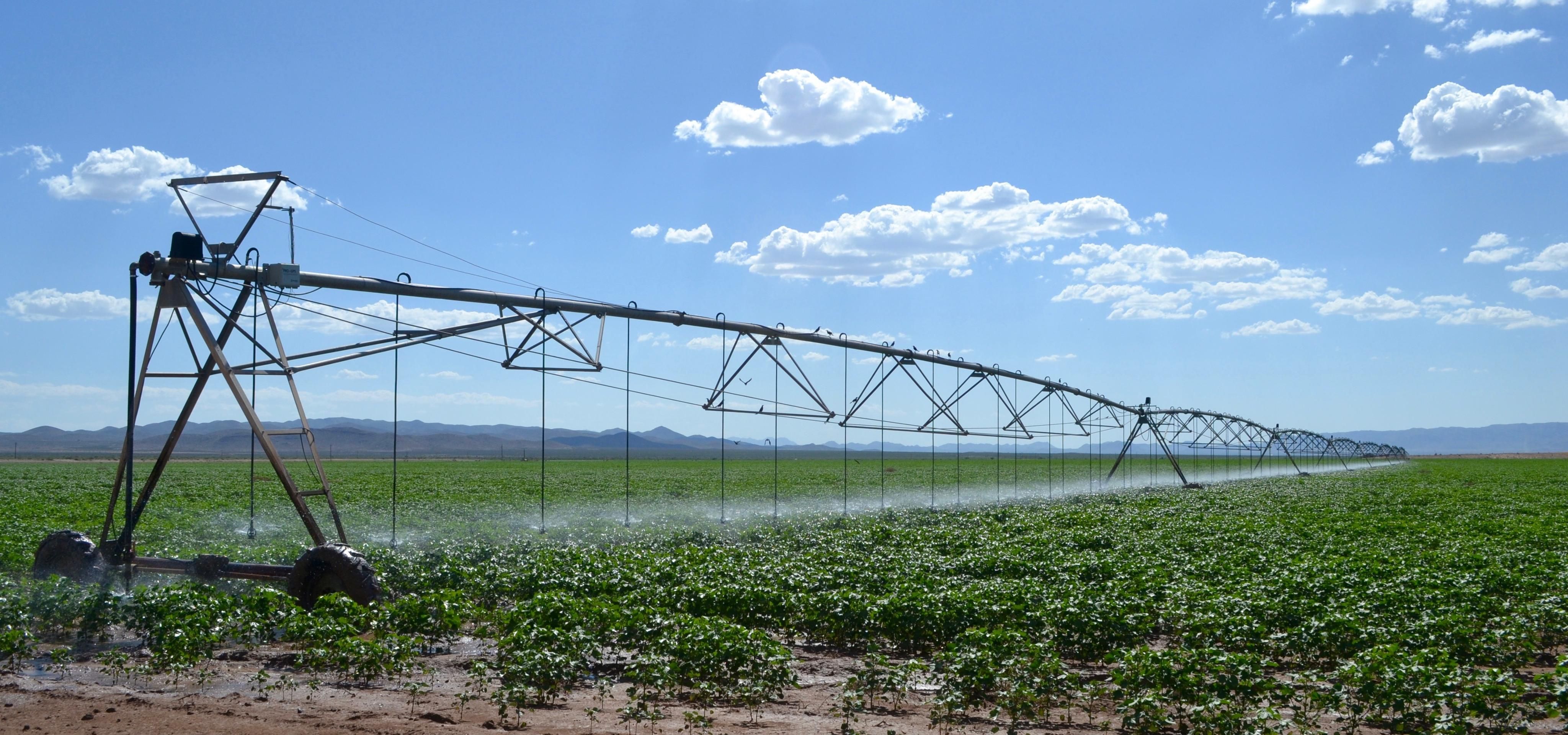 15,448 acres in Van Horn, TX, 79855 Land and Farm