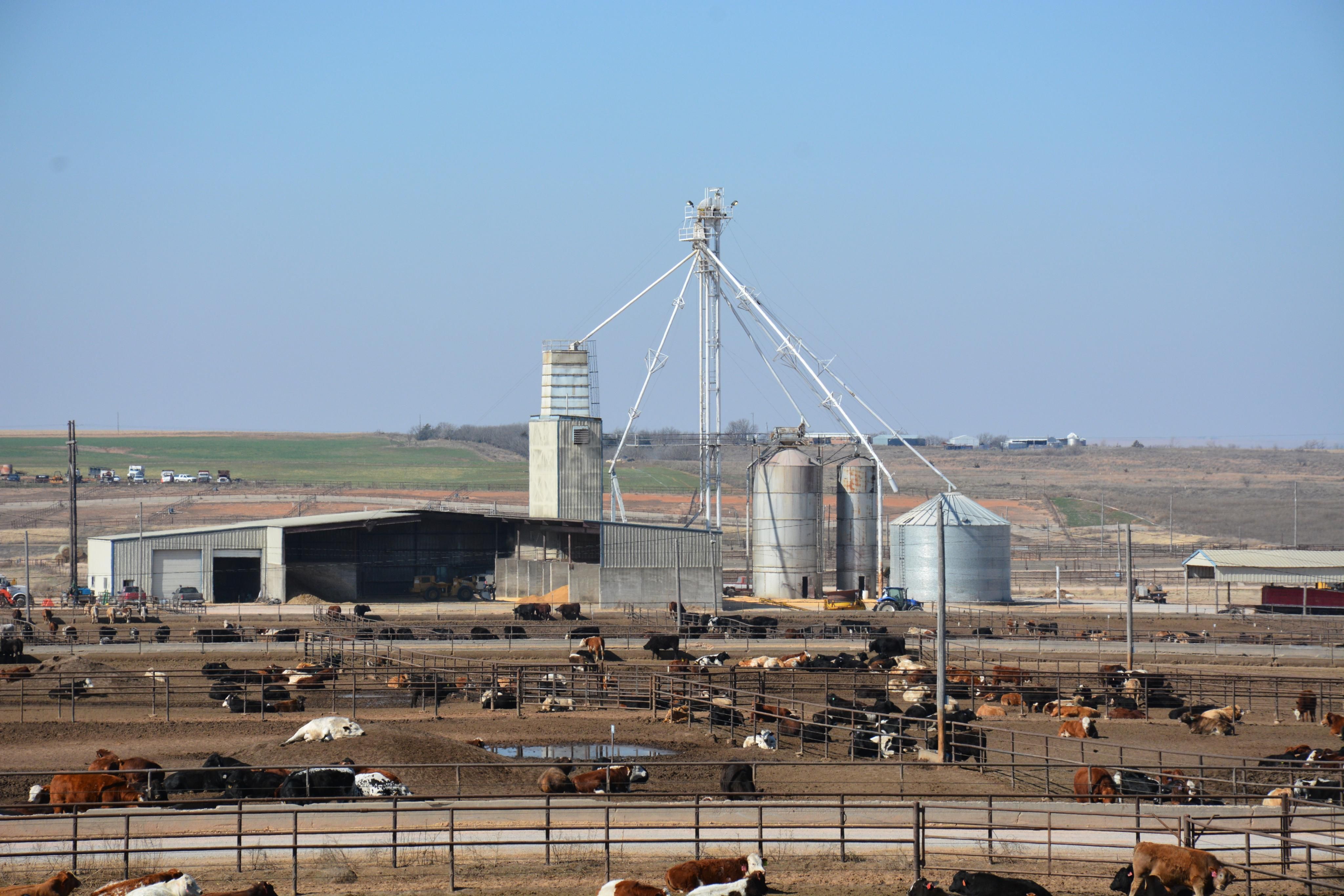 549 acres in Wheeler, TX, 79096 Land and Farm