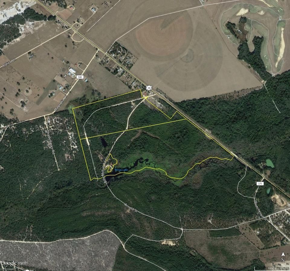 165 Acres, Billy McCall Road, Reidsville, GA 30453 Land and Farm