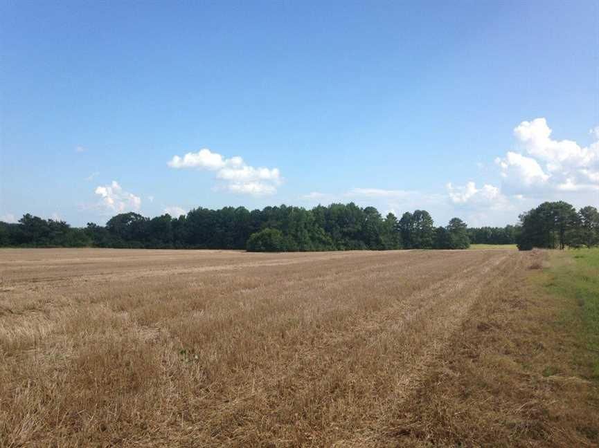 13 Acres, Hwy 278 W & Jonesboro Rd, Hatley, MS 38821 Land and Farm