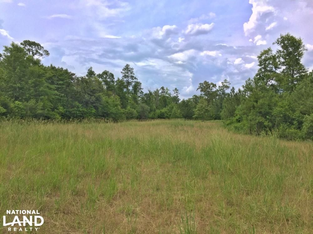 219 Acres, 0 Janey Ln, Saraland, AL 36571 Land and Farm
