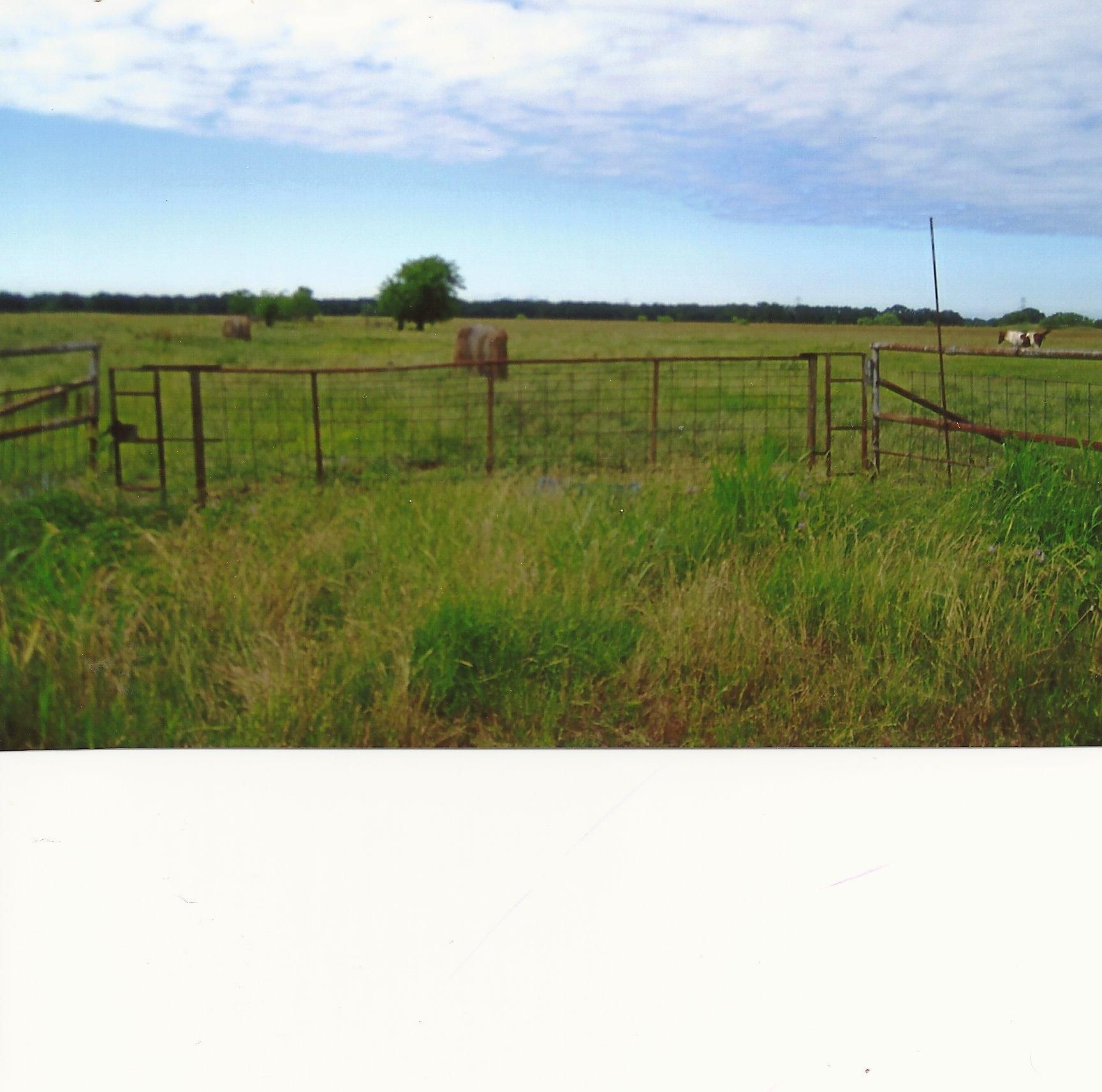 100 Acres, Co Rd 4076, Kemp, TX 75143 Land and Farm