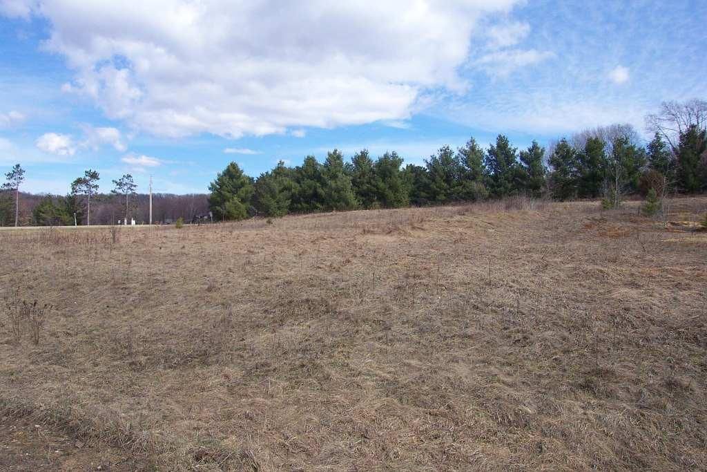 Lo 1 865th Street, Elk Mound, WI 54739 Land and Farm