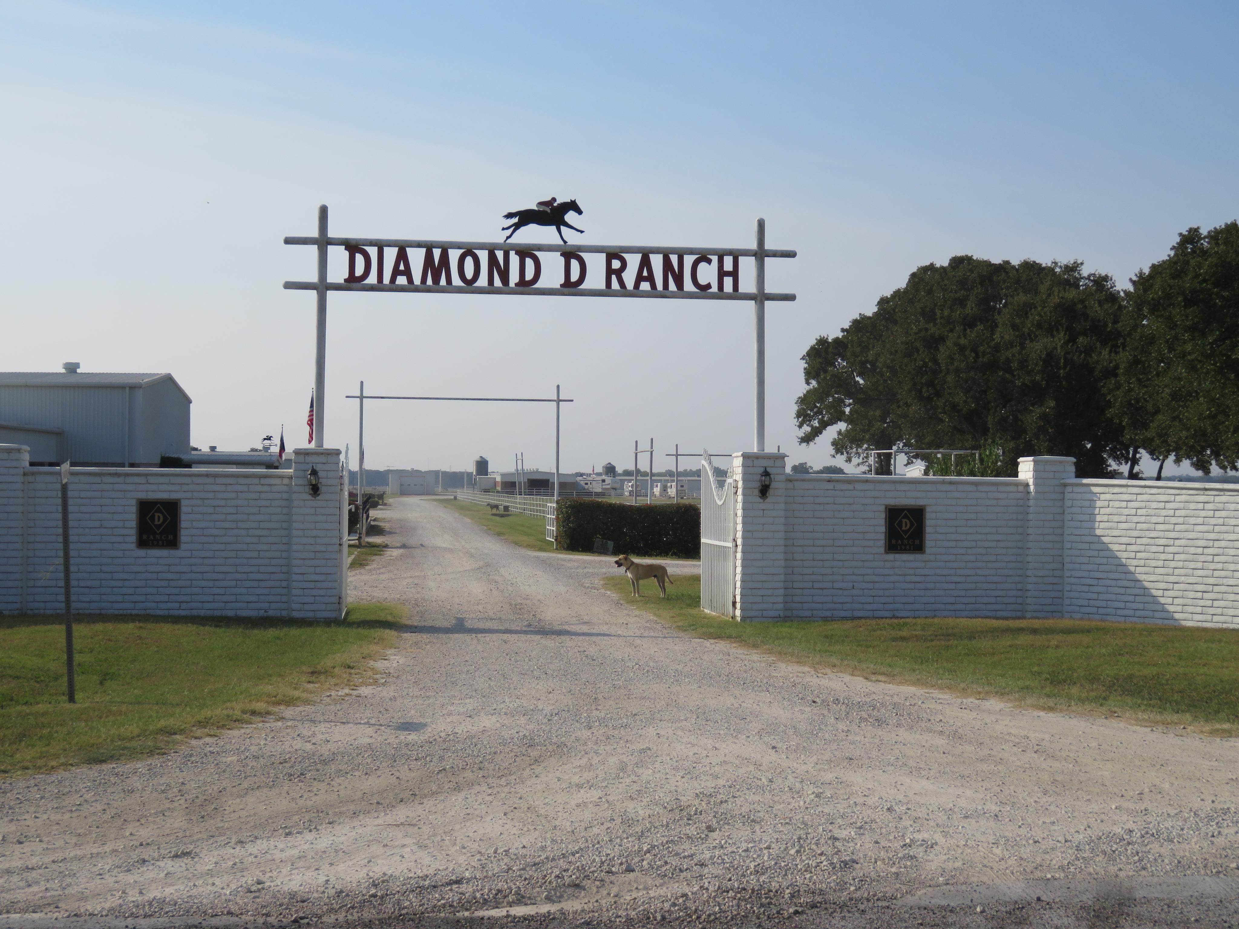 4509 Diamond D. Road, Lone Oak, TX 75453 Land and Farm