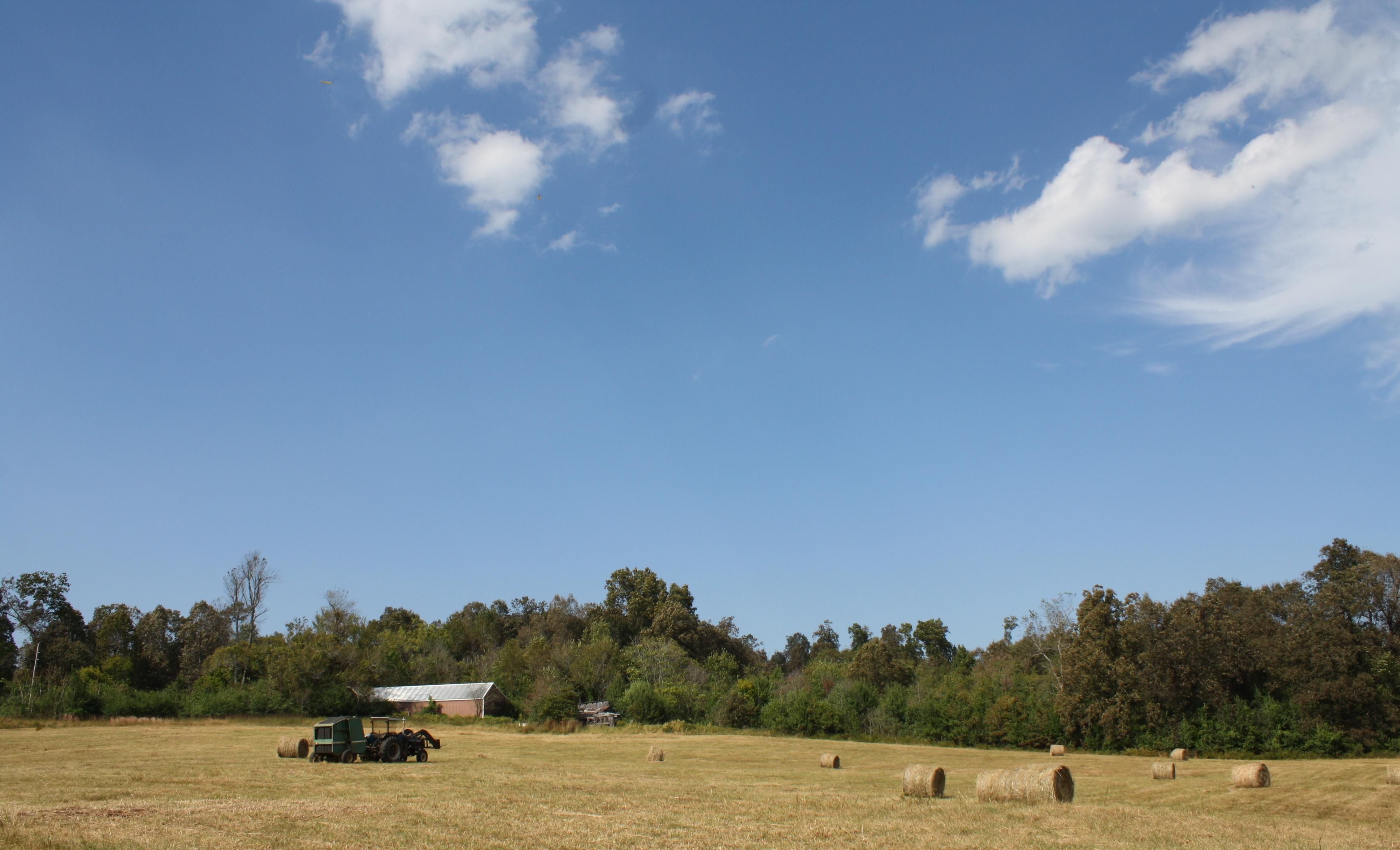 23 Acres, TBD State Line Road, Thayer, MO 65791 Land and Farm