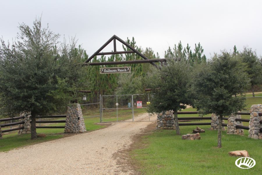 976 Acres, 1032 Tatum Sale Dome Road, Lumberton, MS 39455 Land and Farm