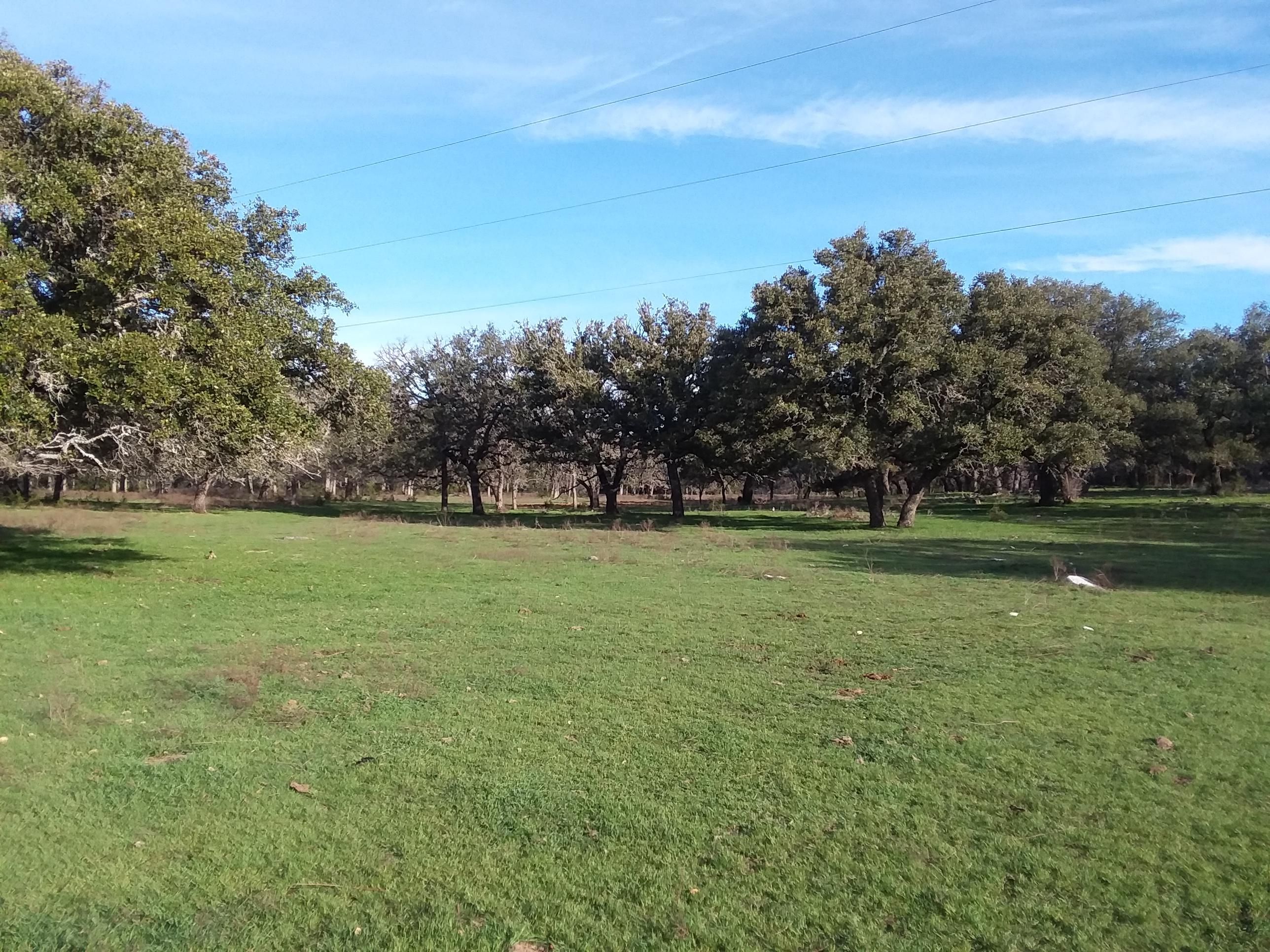 601 Deer Creek Road, Lampasas, TX 76550 Land and Farm