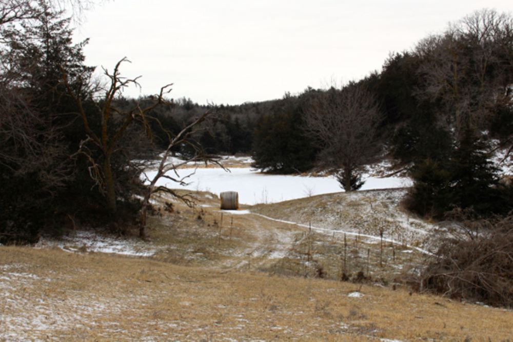 243.4 Acres, Verdel, NE 68760 Land and Farm