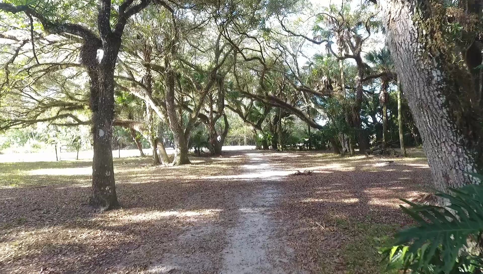 33465 County Road 833, Clewiston, FL 33440 Land and Farm