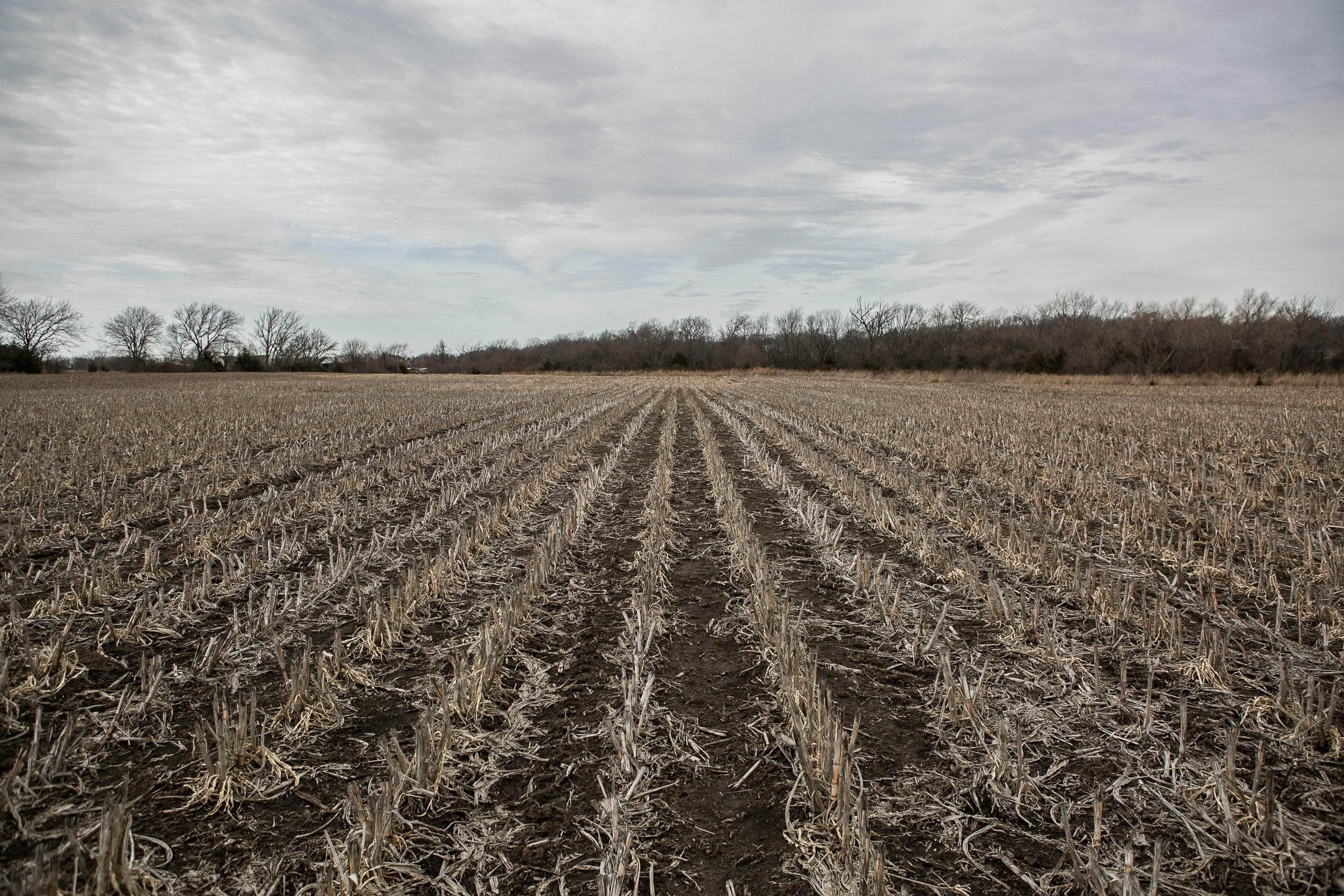862 East 2000th Road, Eudora, KS 66025 Land and Farm