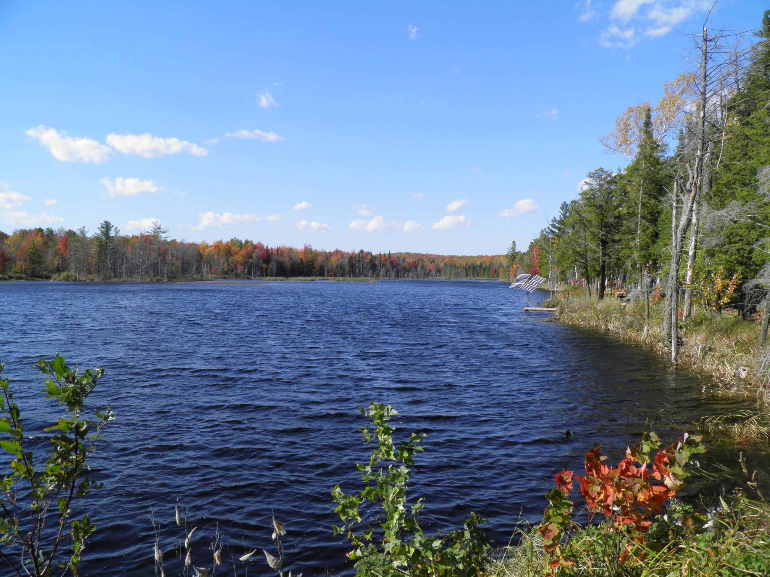 50 Acres, 811 Drown Road, Churubusco, NY 12935 Land and Farm