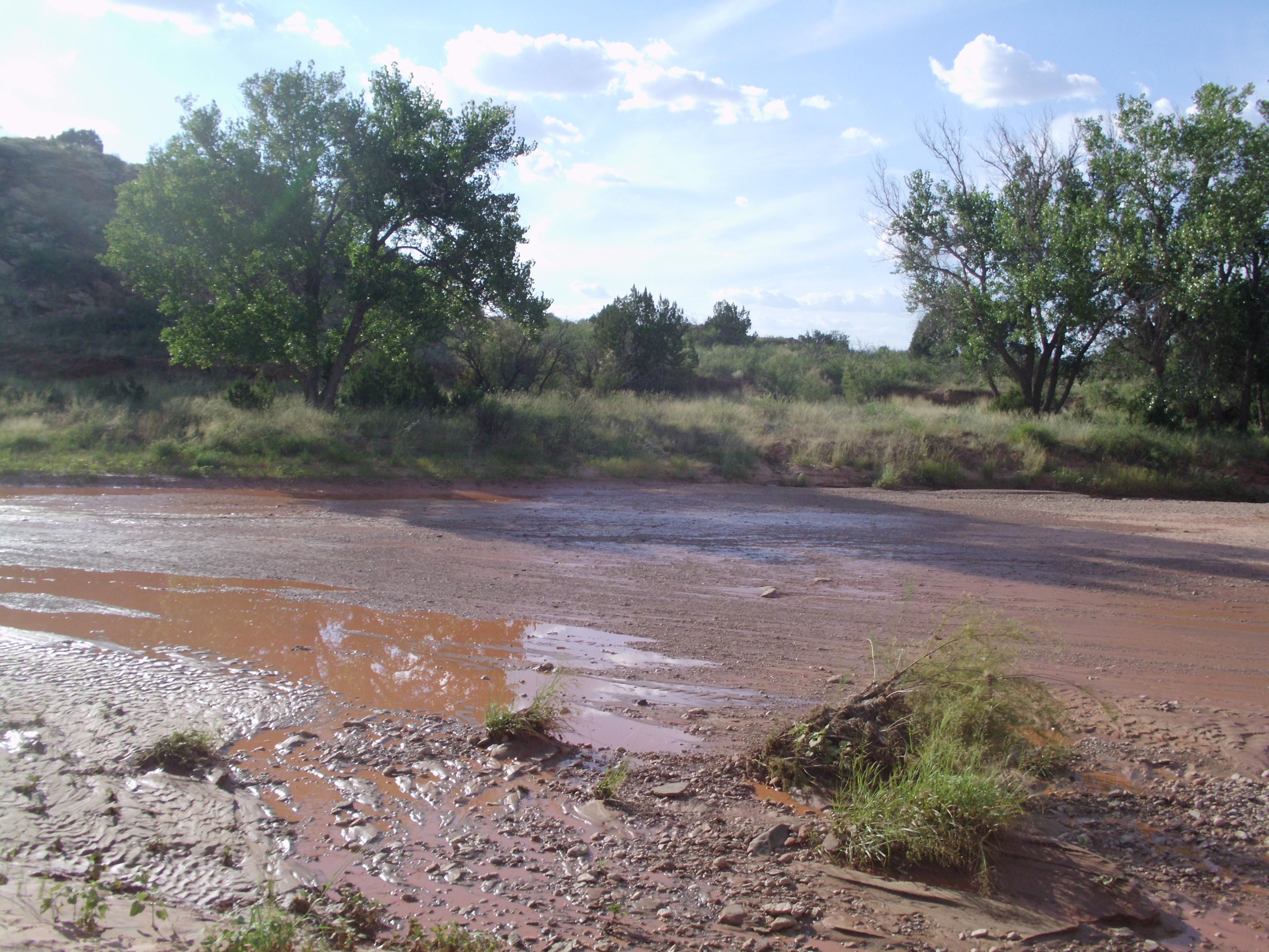 2,480 acres in San Jon, NM, 88434 Land and Farm
