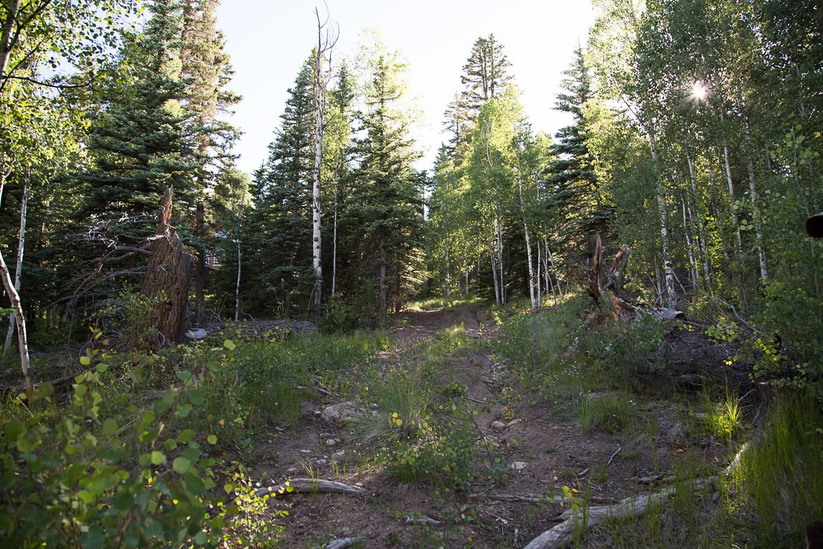 32008 Elk Trail Ln, Creede, CO 81130 Land and Farm