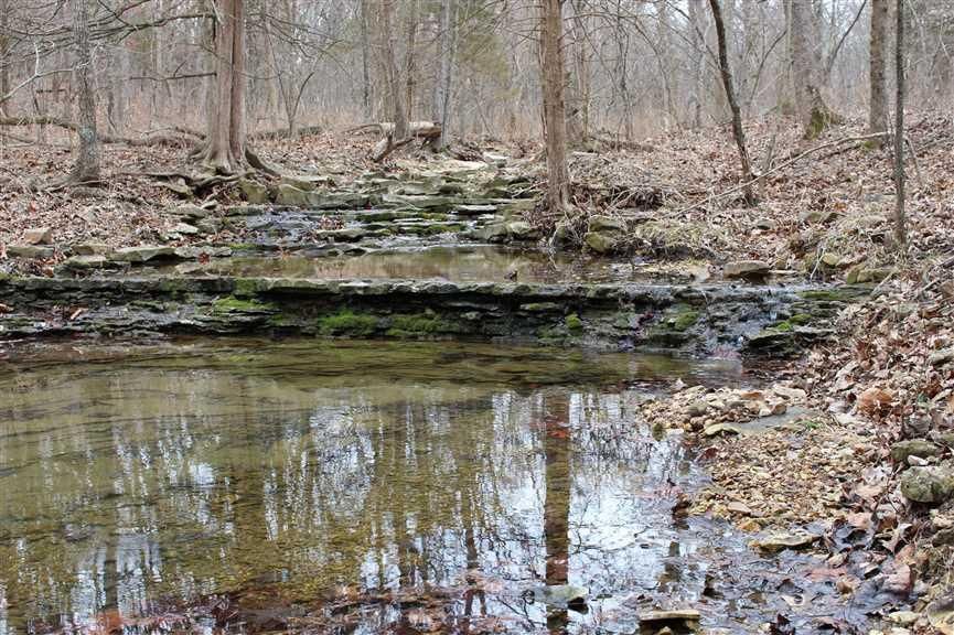 120 Acres, Hermitage, MO 65668 Land and Farm